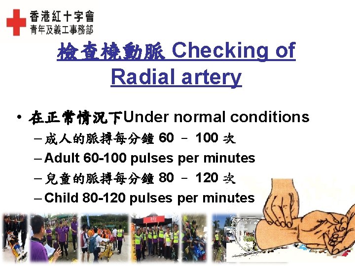 檢查橈動脈 Checking of Radial artery • 在正常情況下Under normal conditions – 成人的脈搏每分鐘 60 – 100