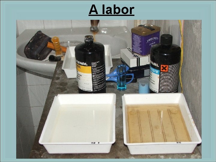 A labor 