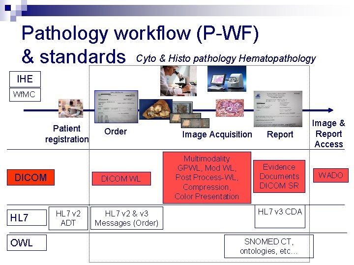 Pathology workflow (P-WF) & standards Cyto & Histo pathology Hematopathology IHE Wf. MC Patient