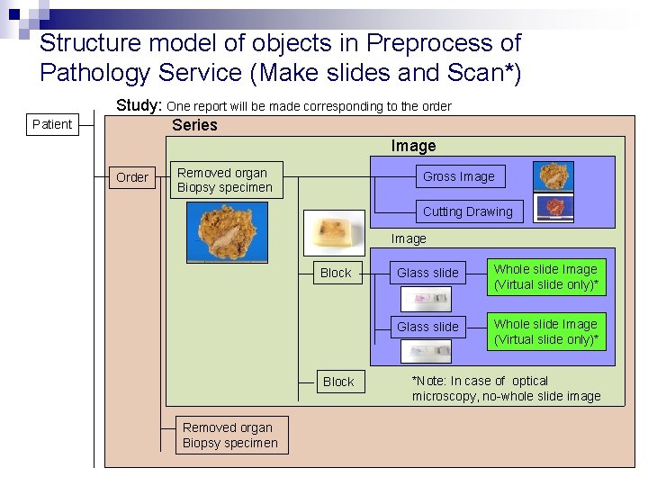 Structure model of objects in Preprocess of Pathology Service (Make slides and Scan*) Patient