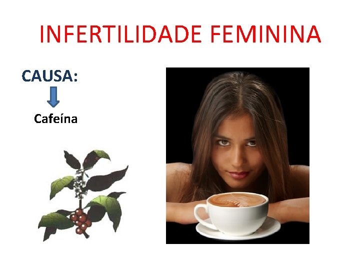 INFERTILIDADE FEMININA CAUSA: Cafeína 