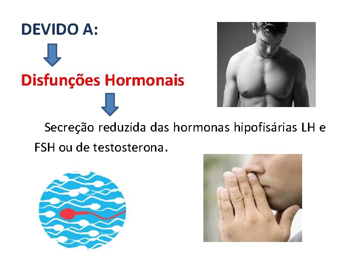 DEVIDO A: Disfunções Hormonais Secreção reduzida das hormonas hipofisárias LH e FSH ou de