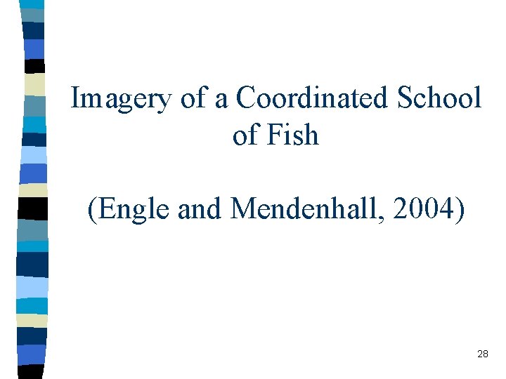 Imagery of a Coordinated School of Fish (Engle and Mendenhall, 2004) 28 