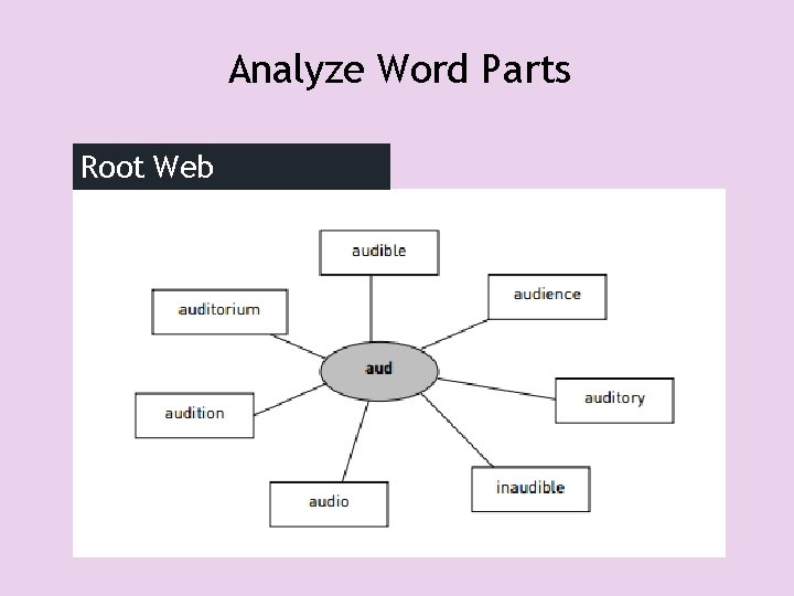 Analyze Word Parts Root Web 