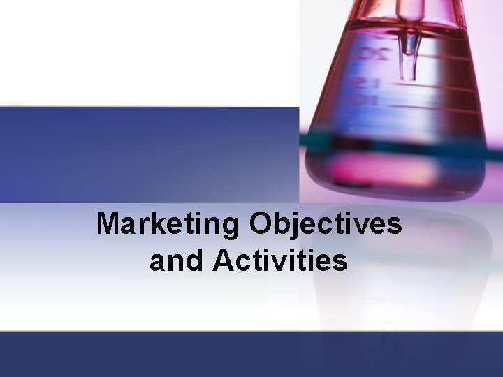 Marketing Objectives and Activities 