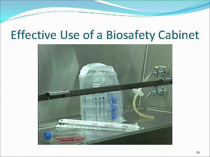 Effective Use of a Biosafety Cabinet 25 
