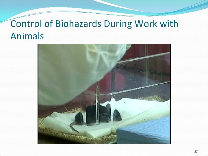 Control of Biohazards During Work with Animals 37 