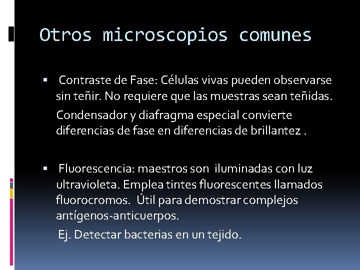 Otros microscopios comunes Contraste de Fase: Células vivas pueden observarse sin teñir. No requiere