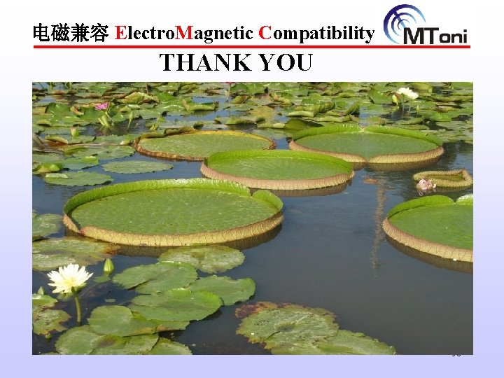 电磁兼容 Electro. Magnetic Compatibility THANK YOU 56 