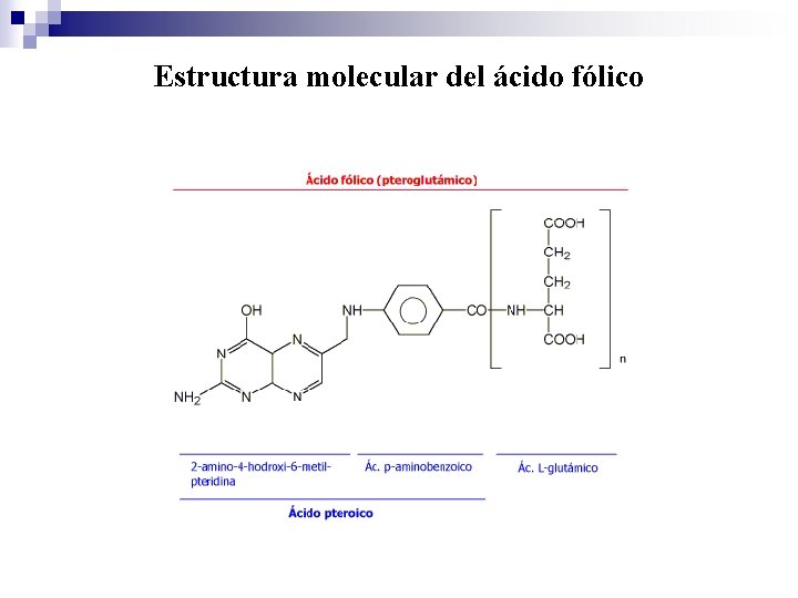 Estructura molecular del ácido fólico 
