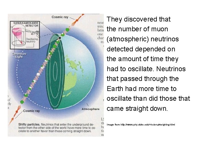 They discovered that the number of muon (atmospheric) neutrinos detected depended on the amount