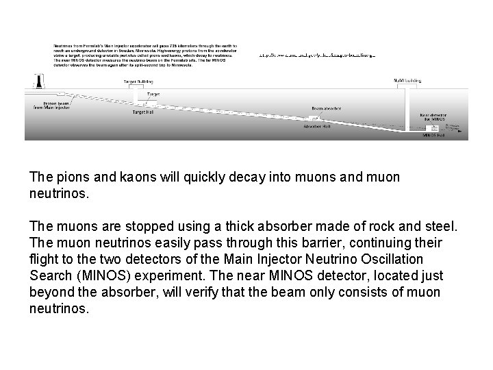 The pions and kaons will quickly decay into muons and muon neutrinos. The muons