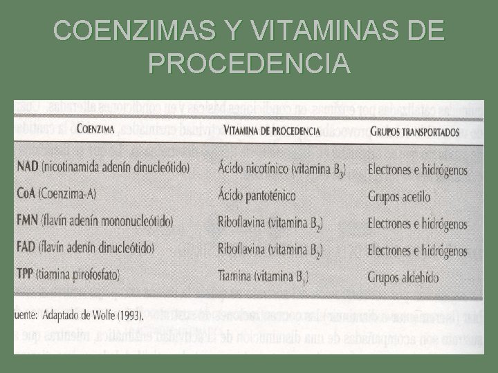 COENZIMAS Y VITAMINAS DE PROCEDENCIA 