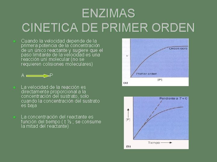 ENZIMAS CINETICA DE PRIMER ORDEN l Cuando la velocidad depende de la primera potencia ENZIMAS CINETICA DE PRIMER ORDEN l Cuando la velocidad depende de la primera potencia