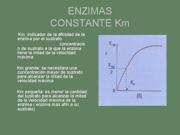 ENZIMAS CONSTANTE Km Km : indicador de la afinidad de la enzima por el ENZIMAS CONSTANTE Km Km : indicador de la afinidad de la enzima por el