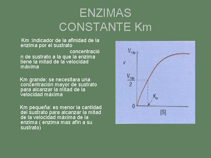 ENZIMAS CONSTANTE Km Km : indicador de la afinidad de la enzima por el