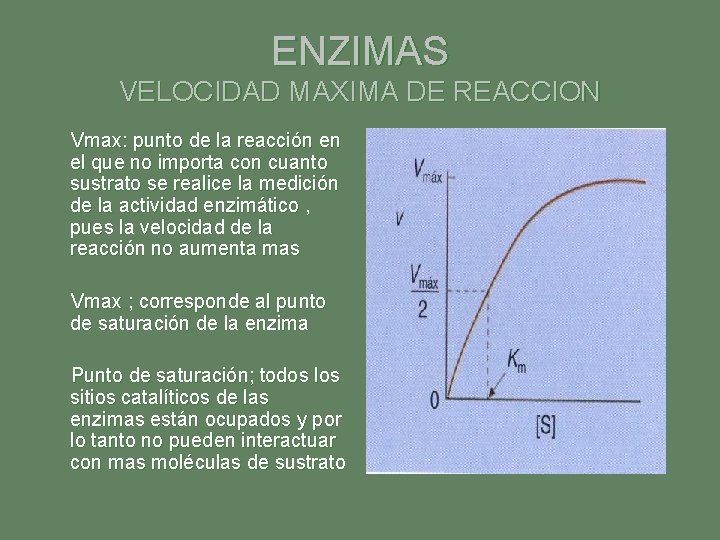 ENZIMAS VELOCIDAD MAXIMA DE REACCION Vmax: punto de la reacción en el que no