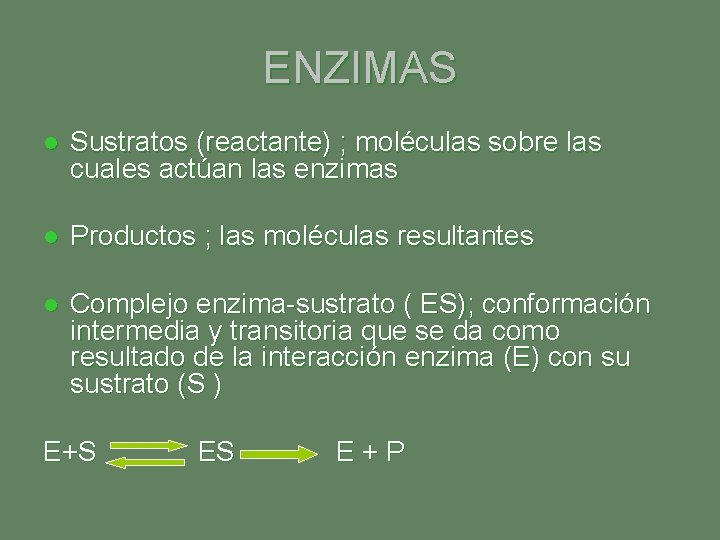 ENZIMAS l Sustratos (reactante) ; moléculas sobre las cuales actúan las enzimas l Productos