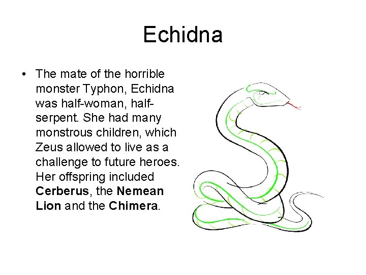 Echidna • The mate of the horrible monster Typhon, Echidna was half-woman, halfserpent. She