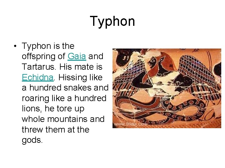 Typhon • Typhon is the offspring of Gaia and Tartarus. His mate is Echidna.