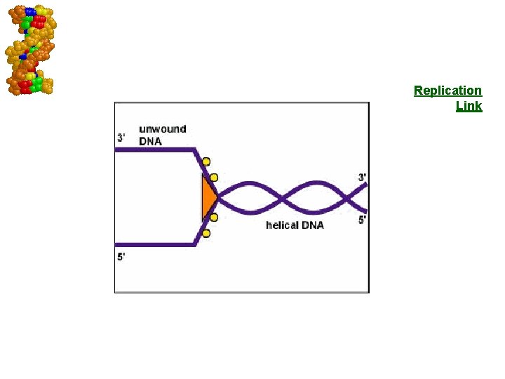 Replication Link Go to Section: 