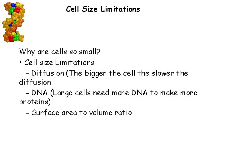 Cell Size Limitations Why are cells so small? • Cell size Limitations - Diffusion