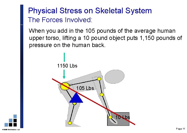 Physical Stress on Skeletal System The Forces Involved: When you add in the 105