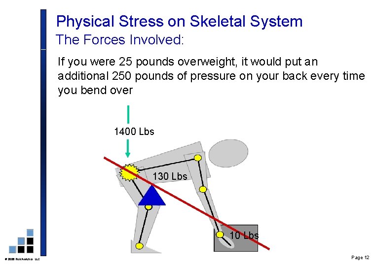 Physical Stress on Skeletal System The Forces Involved: If you were 25 pounds overweight,