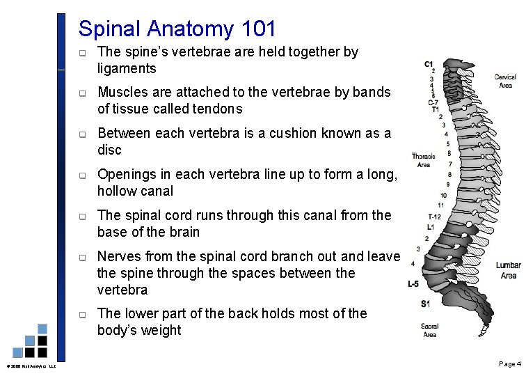 Spinal Anatomy 101 2006 Risk. Analytics, LLC q The spine’s vertebrae are held together