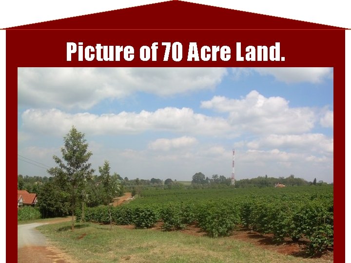 Picture of 70 Acre Land. 