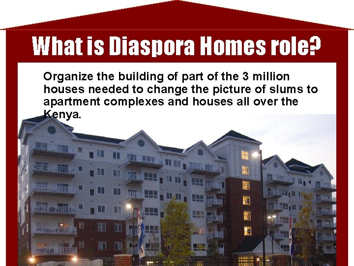 What is Diaspora Homes role? Organize the building of part of the 3 million
