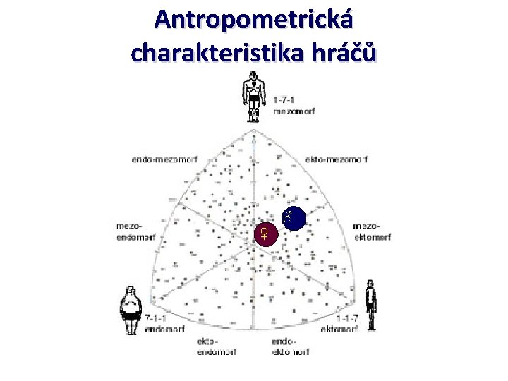 Antropometrická charakteristika hráčů ♂ ♀ 