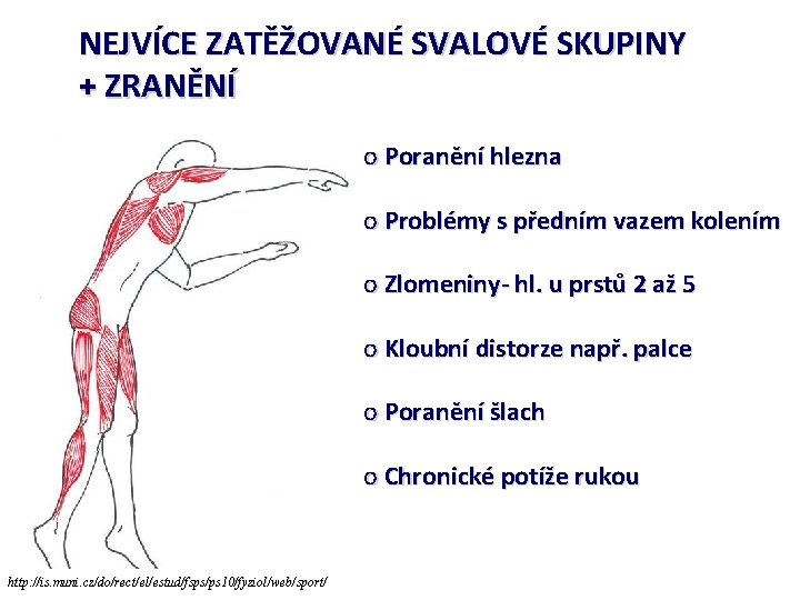 NEJVÍCE ZATĚŽOVANÉ SVALOVÉ SKUPINY + ZRANĚNÍ o Poranění hlezna o Problémy s předním vazem