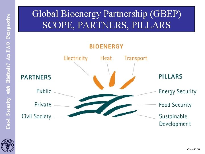 Food Security with Biofuels? An FAO Perspective S. 45 Global Bioenergy Partnership (GBEP) SCOPE,