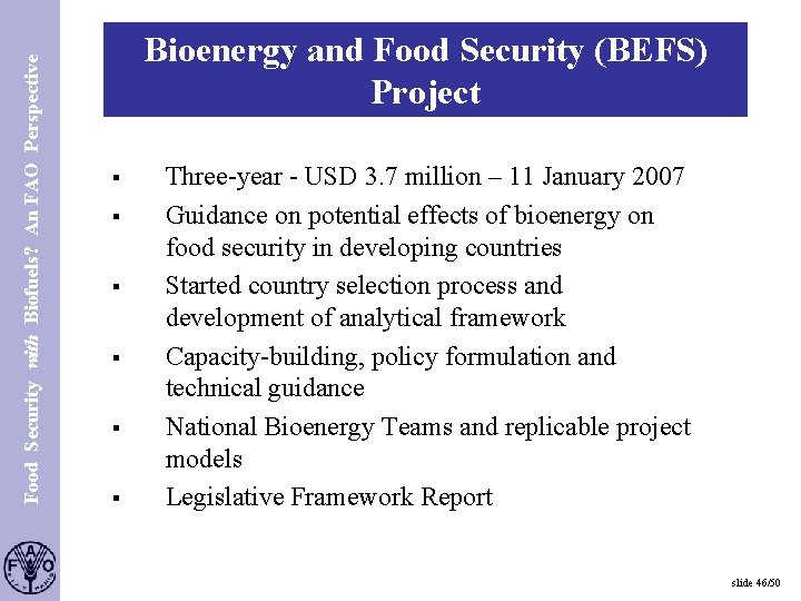 Food Security with Biofuels? An FAO Perspective S. 46 Bioenergy and Food Security (BEFS)