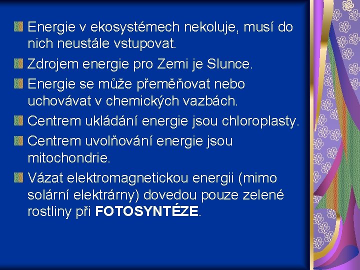 Energie v ekosystémech nekoluje, musí do nich neustále vstupovat. Zdrojem energie pro Zemi je