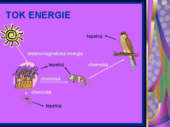TOK ENERGIE tepelná elektromagnetická energie tepelná chemická 