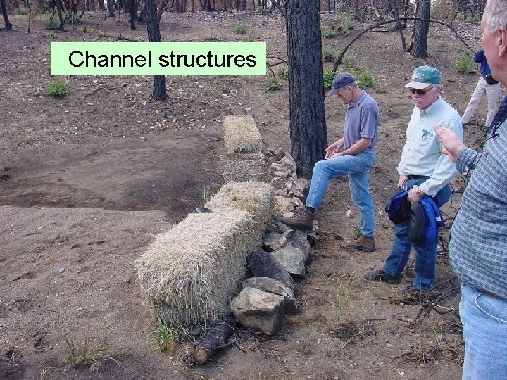 Burned Area Emergency Response Program BAER BAER PURPOSE