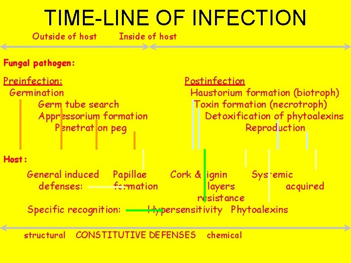 TIME-LINE OF INFECTION Outside of host Inside of host Fungal pathogen: Preinfection: Germination Germ