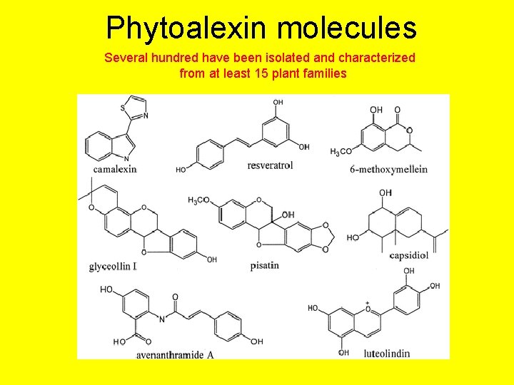 Phytoalexin molecules Several hundred have been isolated and characterized from at least 15 plant