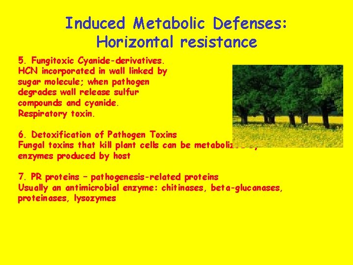 Induced Metabolic Defenses: Horizontal resistance 5. Fungitoxic Cyanide-derivatives. HCN incorporated in wall linked by