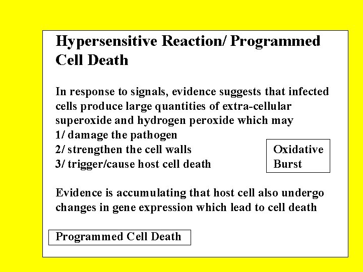 Hypersensitive Reaction/ Programmed Cell Death In response to signals, evidence suggests that infected cells