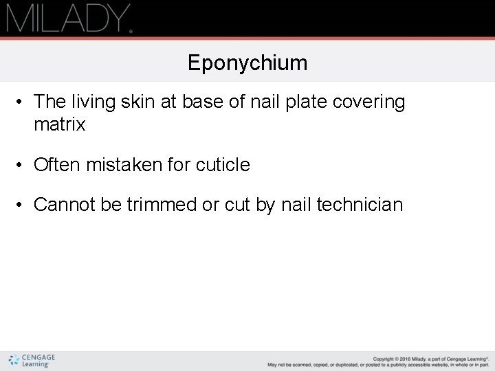 Eponychium • The living skin at base of nail plate covering matrix • Often