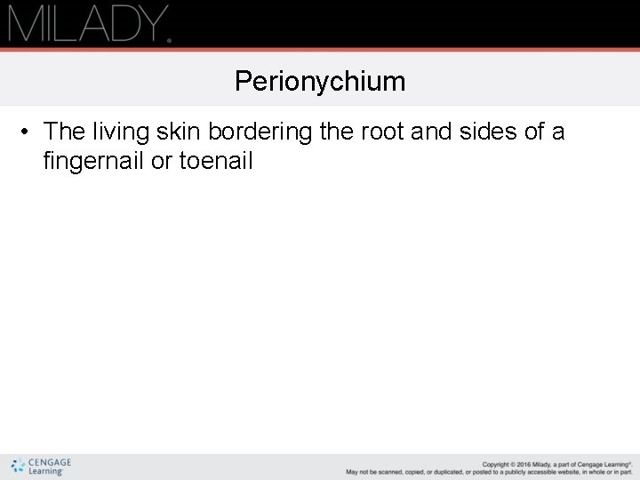 Perionychium • The living skin bordering the root and sides of a fingernail or