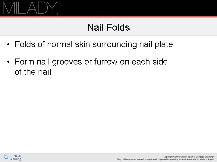 Nail Folds • Folds of normal skin surrounding nail plate • Form nail grooves Nail Folds • Folds of normal skin surrounding nail plate • Form nail grooves