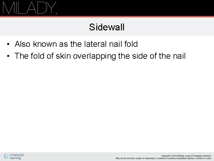 Sidewall • Also known as the lateral nail fold • The fold of skin Sidewall • Also known as the lateral nail fold • The fold of skin