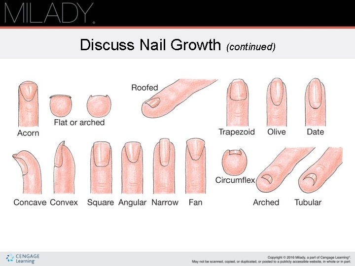 Discuss Nail Growth (continued) 