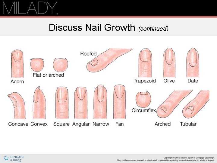 Discuss Nail Growth (continued) Discuss Nail Growth (continued)