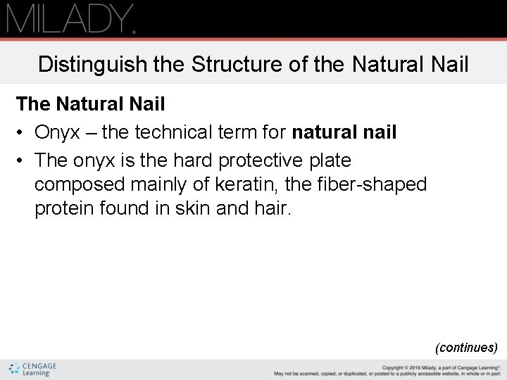 Distinguish the Structure of the Natural Nail The Natural Nail • Onyx – the