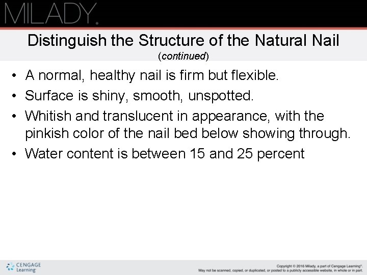 Distinguish the Structure of the Natural Nail (continued) • A normal, healthy nail is